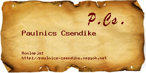 Paulnics Csendike névjegykártya